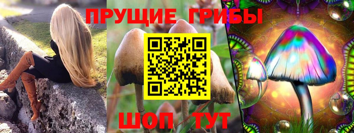 Галлюциногенные грибы мухоморы  Галлюциногенные грибы ЛСД  Ивантеевка  купить закладку  Вход с VPN 